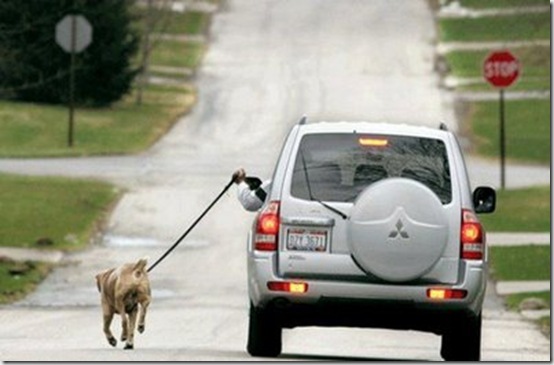 [CÃºmulo+da+PreguiÃ§a_thumb[1].jpg]